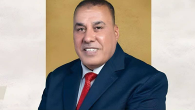 النائب محمد ابو النصر